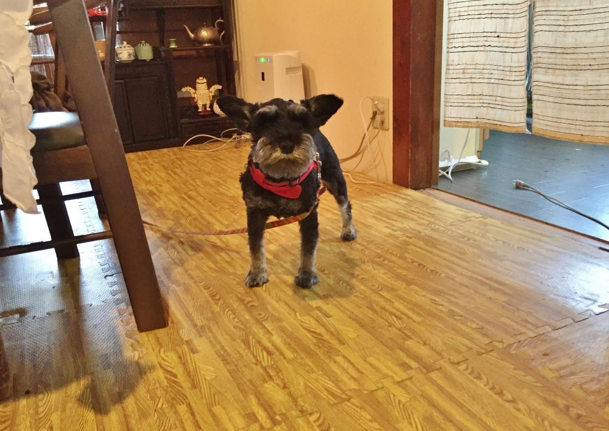 Hotobil B&B 潤 An Inn That Enjoys Breakfast Nara Eksteriør billede